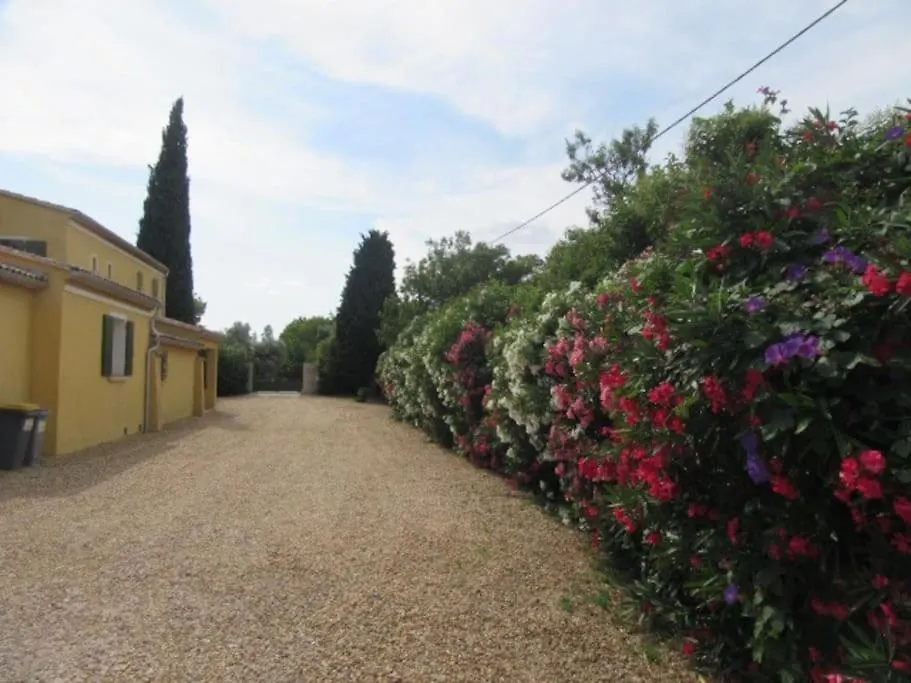Lumineux Deux Pieces En Rez De Jardin Lägenhet Hyères
